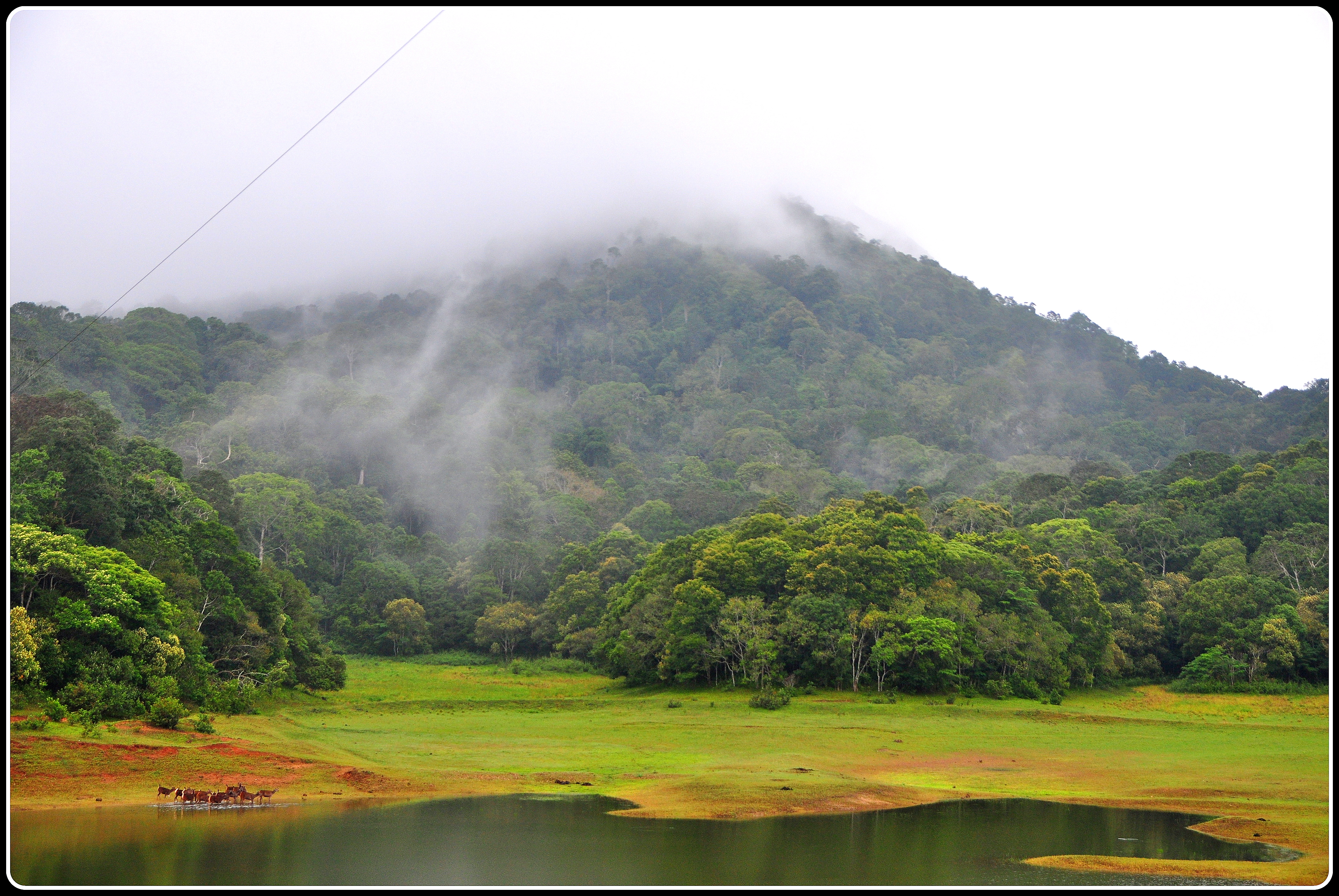 Стихии индии. Штат Керала Индия. Керала горы. Керала заповедник. Национальный парк Перияр.